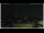Webcam in Campora San Giovanni, 55.1 km