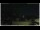 Webcam in Campora San Giovanni, 15.9 mi away