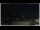Webcam in Campora San Giovanni, 20.4 mi away