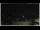 Webcam in Campora San Giovanni, 41.2 km