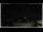 Webcam in Campora San Giovanni, 6.5 mi away
