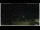 Webcam in Campora San Giovanni, 23.9 km