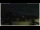 Webcam in Campora San Giovanni, 54.7 km entfernt