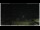 Webcam in Campora San Giovanni, 28.8 km