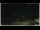 Webcam in Campora San Giovanni, 46.5 km entfernt