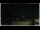 Webcam in Campora San Giovanni, 55.1 km