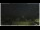 Webcam in Campora San Giovanni, 55.1 km