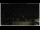 Webcam in Campora San Giovanni, 28.8 km