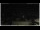 Webcam in Campora San Giovanni, 28.8 km