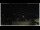 Webcam in Campora San Giovanni, 16.9 km