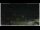 Webcam in Campora San Giovanni, 46.6 km