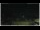 Webcam in Campora San Giovanni, 46.6 km
