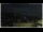 Webcam in Campora San Giovanni, 1.6 mi away