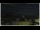 Webcam in Campora San Giovanni, 41.3 km