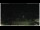 Webcam in Campora San Giovanni, 41.3 km