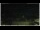 Webcam in Campora San Giovanni, 16.9 km