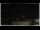 Webcam in Campora San Giovanni, 46.5 km
