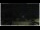 Webcam in Campora San Giovanni, 18 mi away
