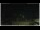 Webcam in Campora San Giovanni, 55.1 km