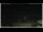 Webcam in Campora San Giovanni, 46.6 km entfernt