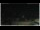 Webcam in Campora San Giovanni, 53 km