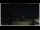 Webcam in Campora San Giovanni, 46.5 km entfernt