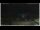 Webcam in Campora San Giovanni, 23.9 km