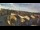 Webcam in Tezze di Arzignano, 5.3 mi away