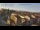 Webcam in Tezze di Arzignano, 36.4 km