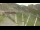Webcam in Cauterets, 35.1 km entfernt
