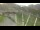 Webcam in Cauterets, 0 mi away
