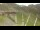 Webcam in Cauterets, 3.5 mi away