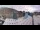 Webcam in Saint-Jean-Saint-Nicolas, 23 km