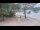 Webcam in Sanguinet, 0 km