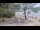 Webcam in Sanguinet, 13.1 km