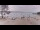 Webcam in Sanguinet, 1.3 km
