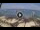 Webcam in West Bay (Roatán), 647.2 km
