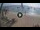 Webcam in West Bay (Roatán), 516.2 km entfernt