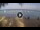 Webcam in West Bay (Roatán), 207.4 mi away