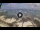 Webcam in West Bay (Roatán), 540.8 km entfernt