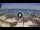 Webcam in West Bay (Roatán), 647.2 km