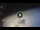Webcam in West Bay (Roatán), 181 mi away