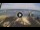 Webcam in West Bay (Roatán), 186.1 mi away