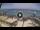 Webcam in West Bay (Roatán), 181 mi away