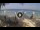Webcam in West Bay (Roatán), 293.3 mi away