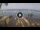 Webcam in West Bay (Roatán), 486.6 km