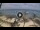 Webcam in West Bay (Roatán), 647.2 km