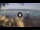 Webcam in West Bay (Roatán), 181 mi away