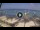 Webcam in West Bay (Roatán), 540.8 km entfernt