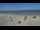 Webcam in Westende, 53.3 km